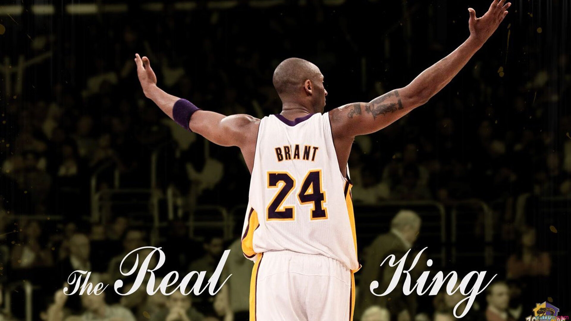 纳达尔训练视频曝光，粉丝感动落泪，纳达尔训练视频曝光,粉丝感动落泪是真的吗